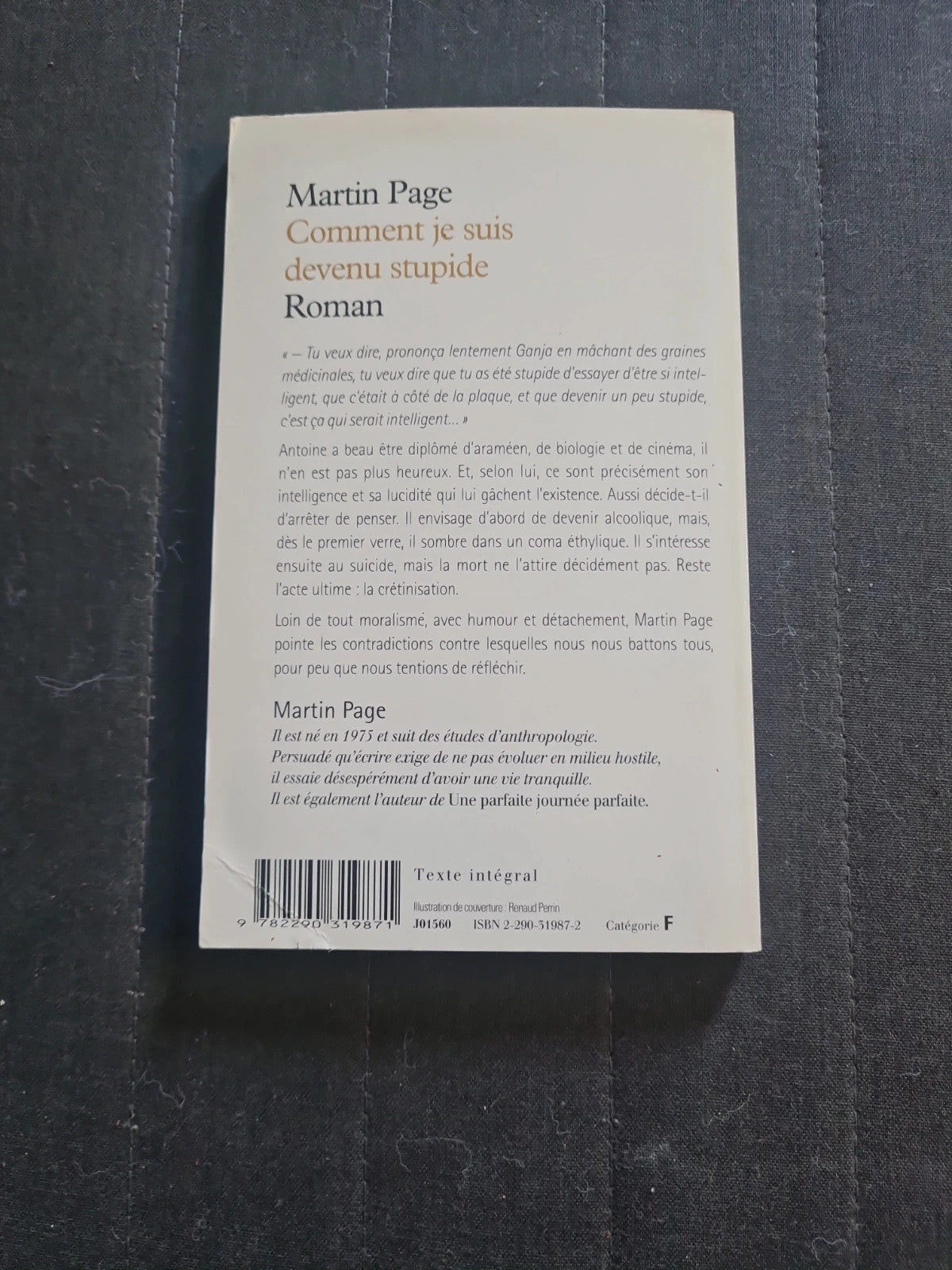 Comment je suis devenu stupide, Martin Page