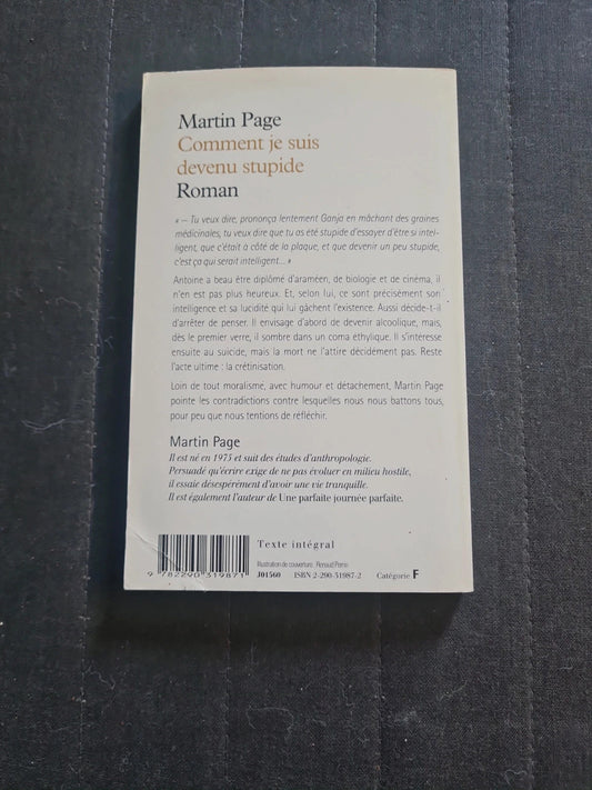 Comment je suis devenu stupide, Martin Page