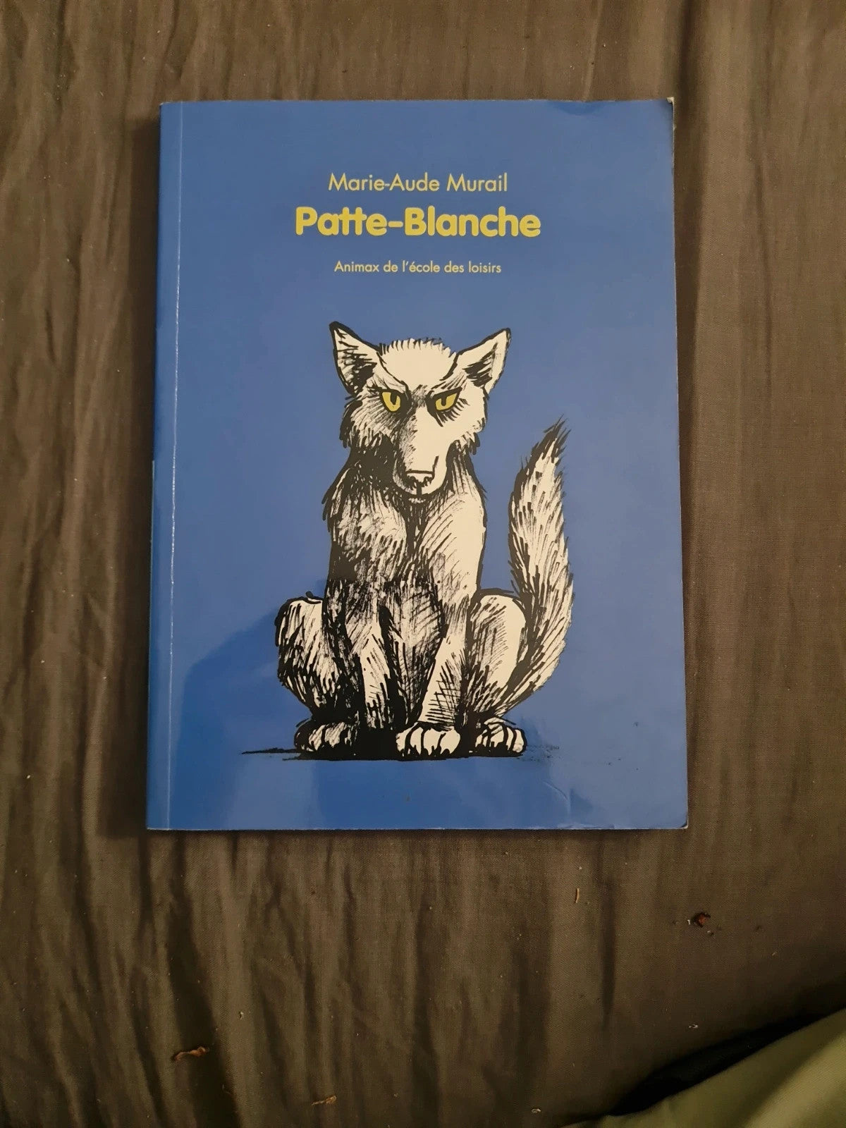 Patte-blanche

Marie-Aude Murail