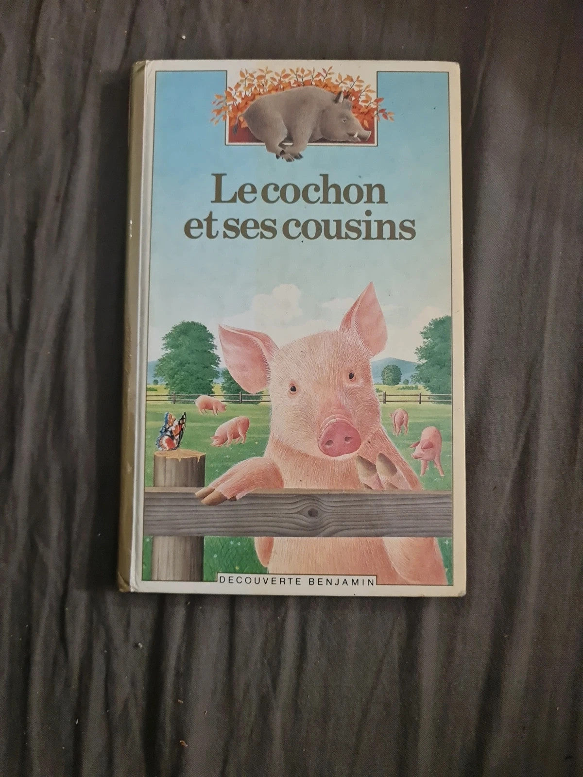Le cochon et ses cousins
