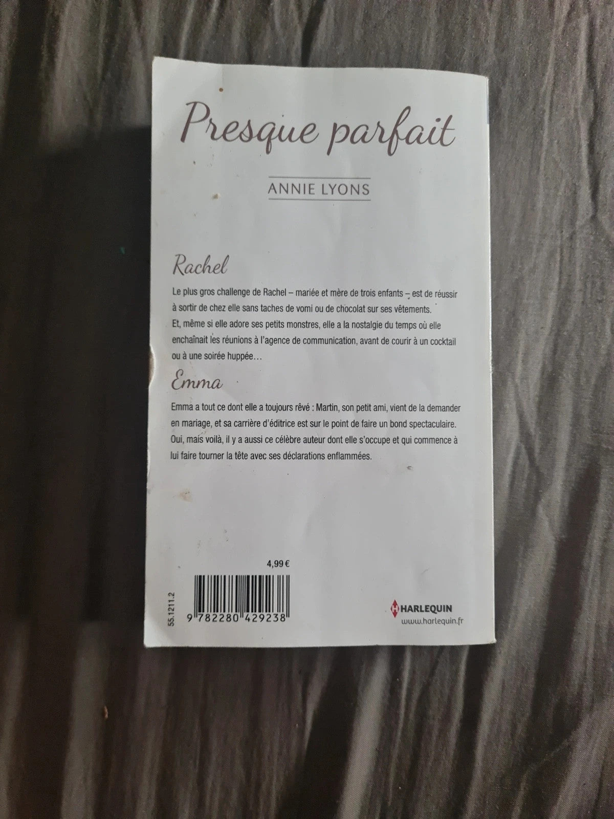 Presque parfait , Annie Lyons