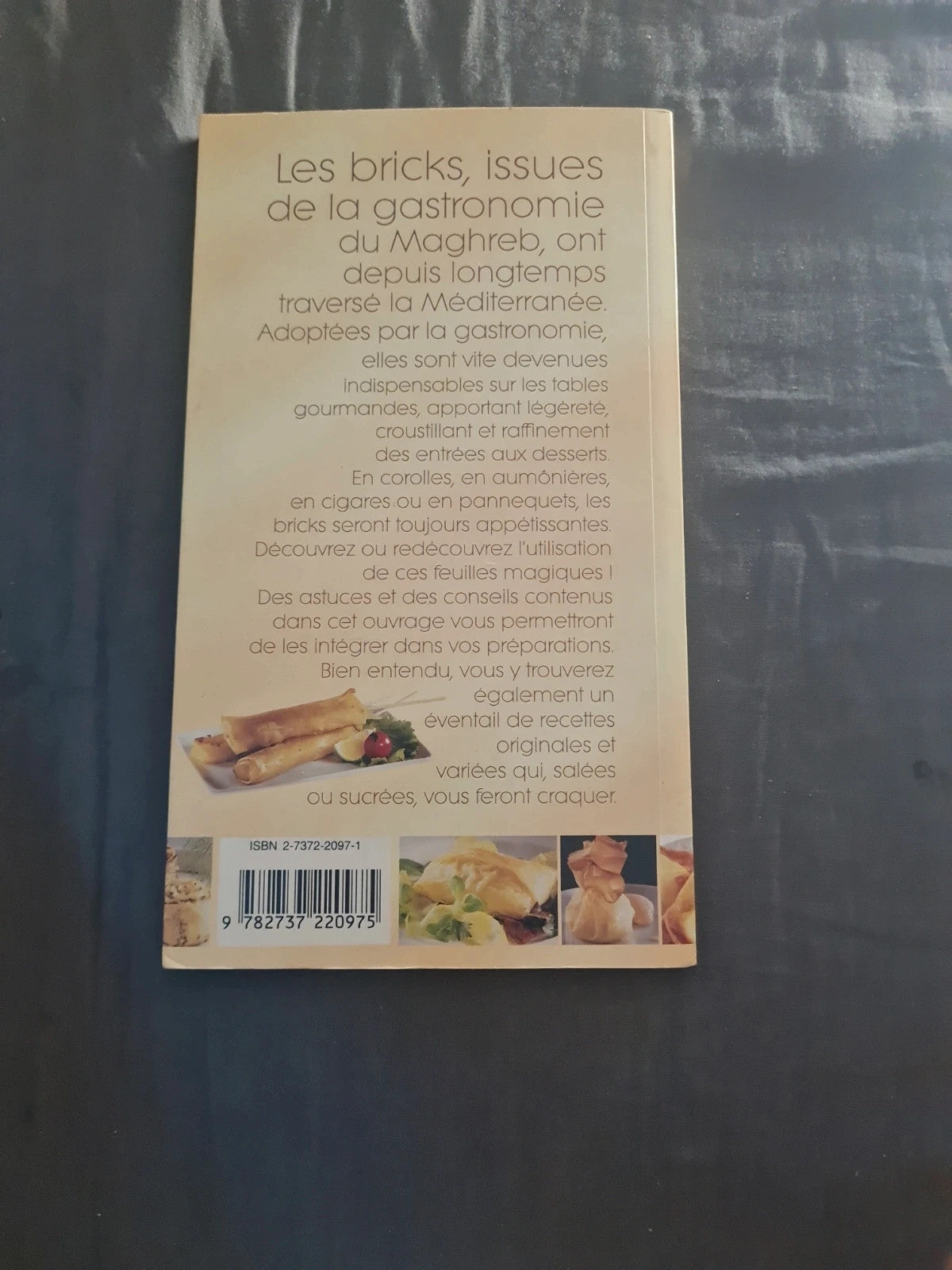 Craquez pour les bricks