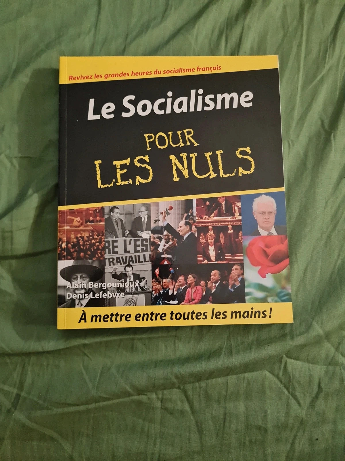 Le socialisme pour les Nuls , Alain Bergounioux , Denis Lefebvre