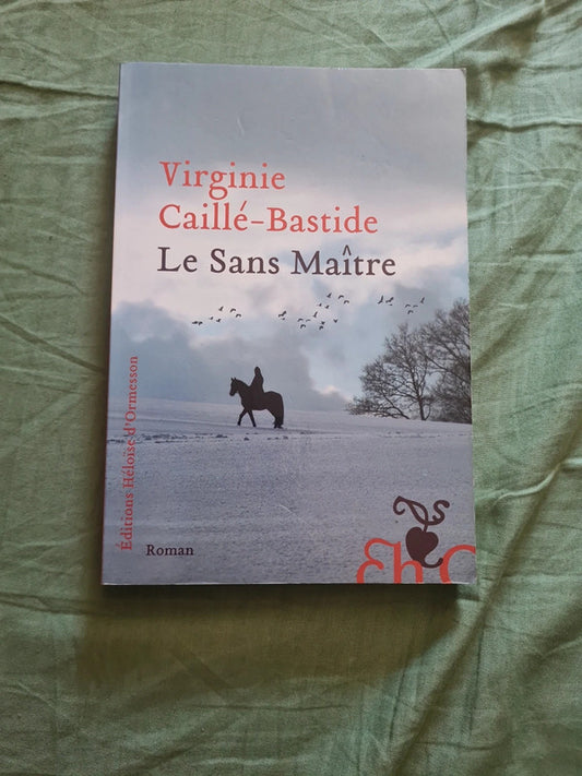 Le sans maître,  Virginie Caillé Bastide