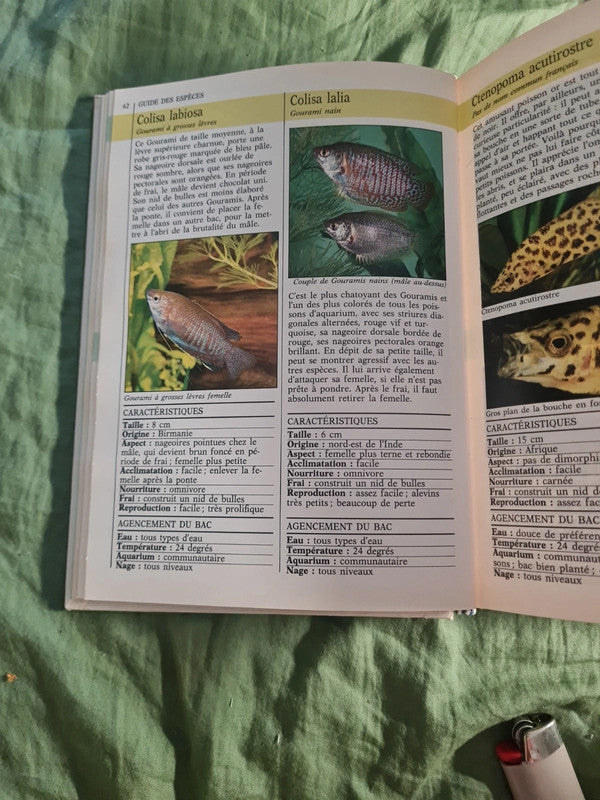 Vous et votre aquarium,  comment entretenir votre aquarium