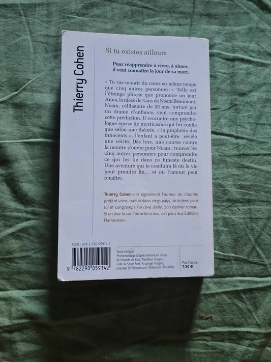 Si tu existe ailleurs, Thierry Cohen