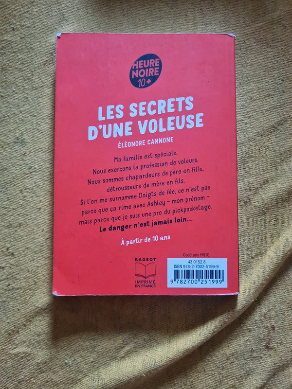 Les secrets d'une voleuse , Eleonore Cannone