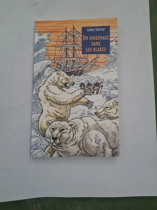 Un hivernage dans les glaces , Jules Verne