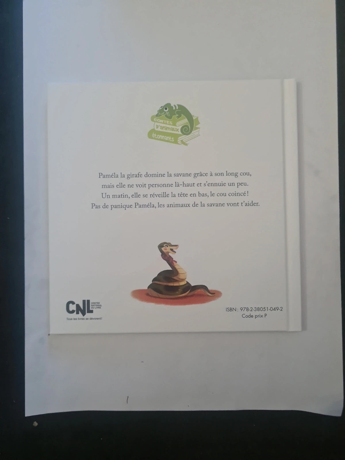 La girafe qui avait un torticolis, Éric Emmanuel Schmitt,  Florence Guittard