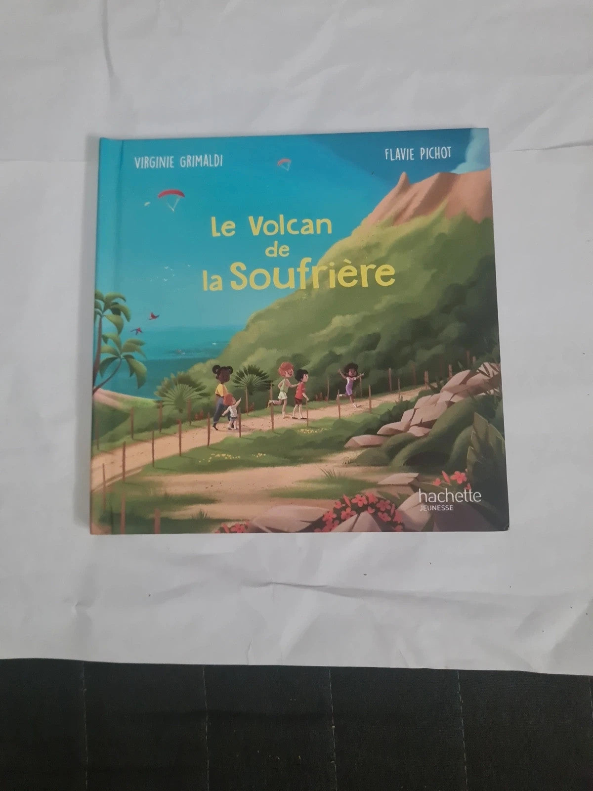 Le volcan de la soufrière, Virginie Grimaldi , Flavie Pichot