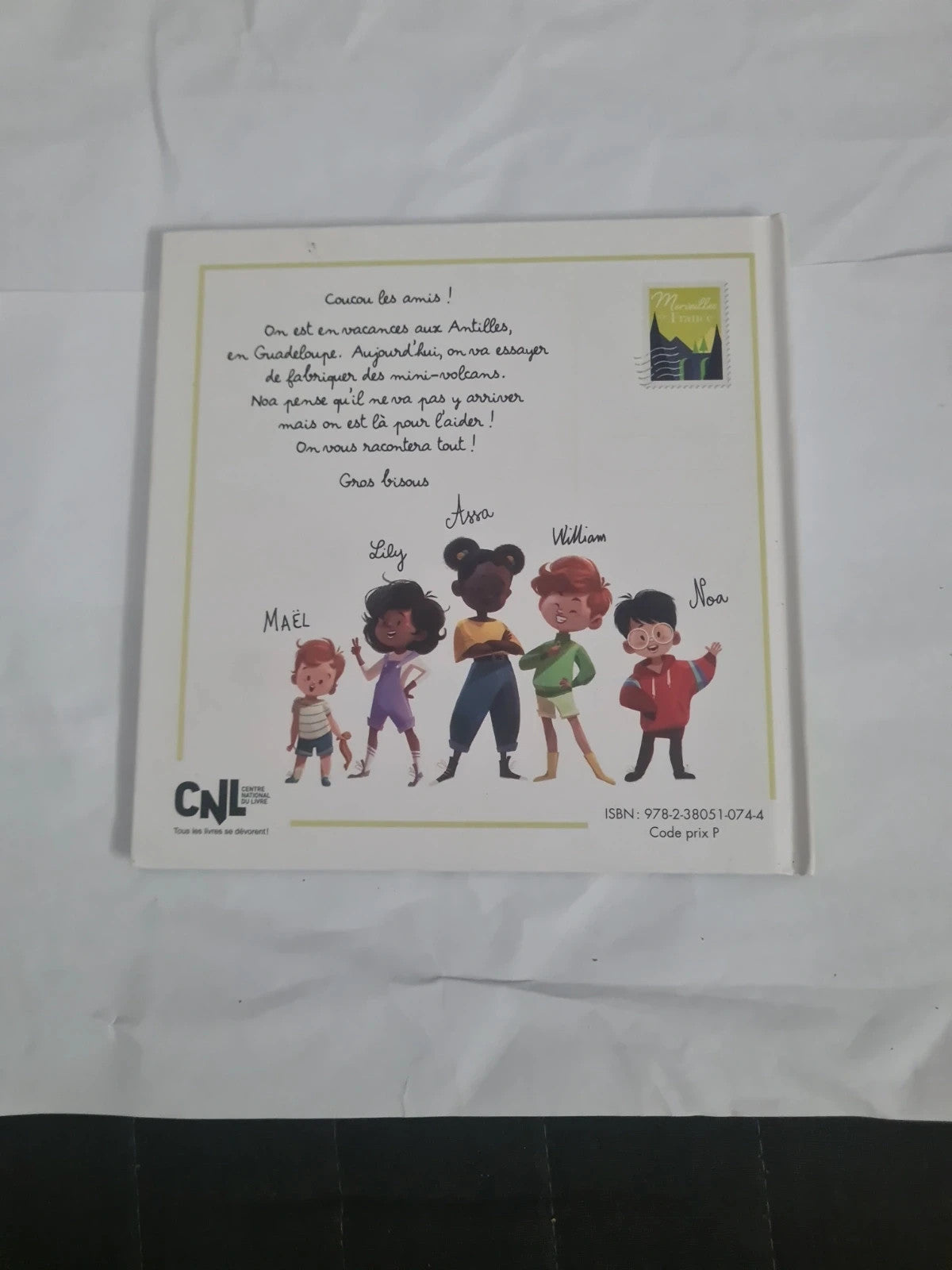 Le volcan de la soufrière, Virginie Grimaldi , Flavie Pichot