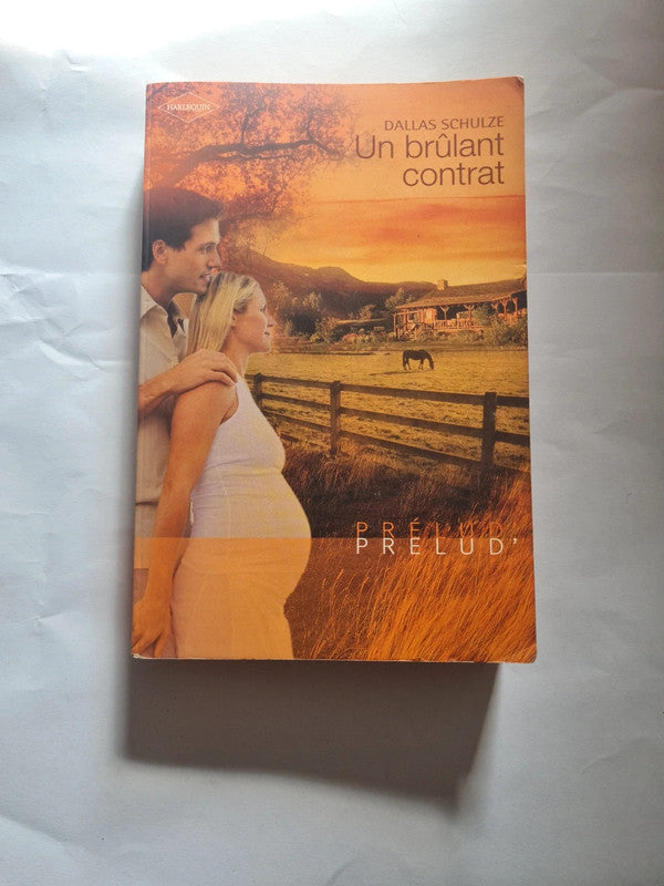 Un brûlant contrat , Dallas Schulze