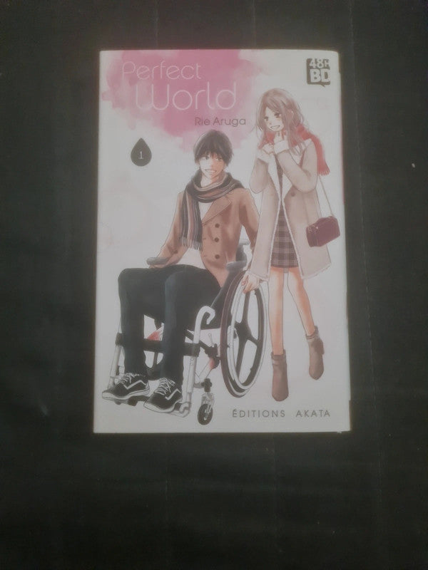 Perfect World T1 , Rie Aruga
