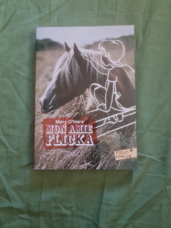 Mon amie Flicka, Mary O'Hara