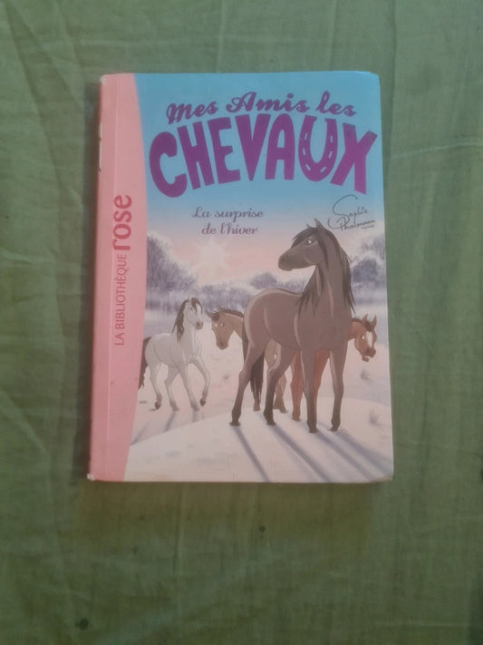 Mes amis les chevaux, la surprise de l'hiver
