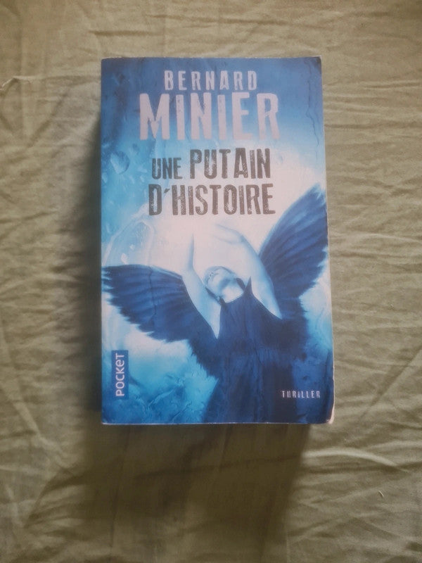 Une putain d'histoire, Bernard Minier