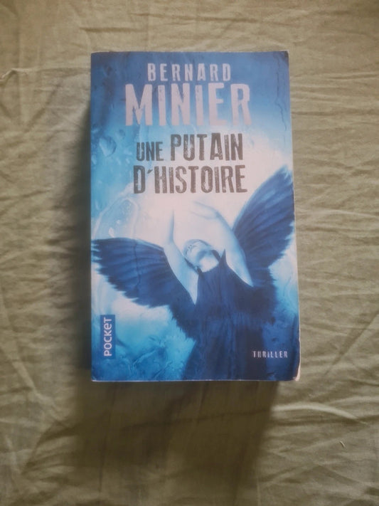 Une putain d'histoire, Bernard Minier