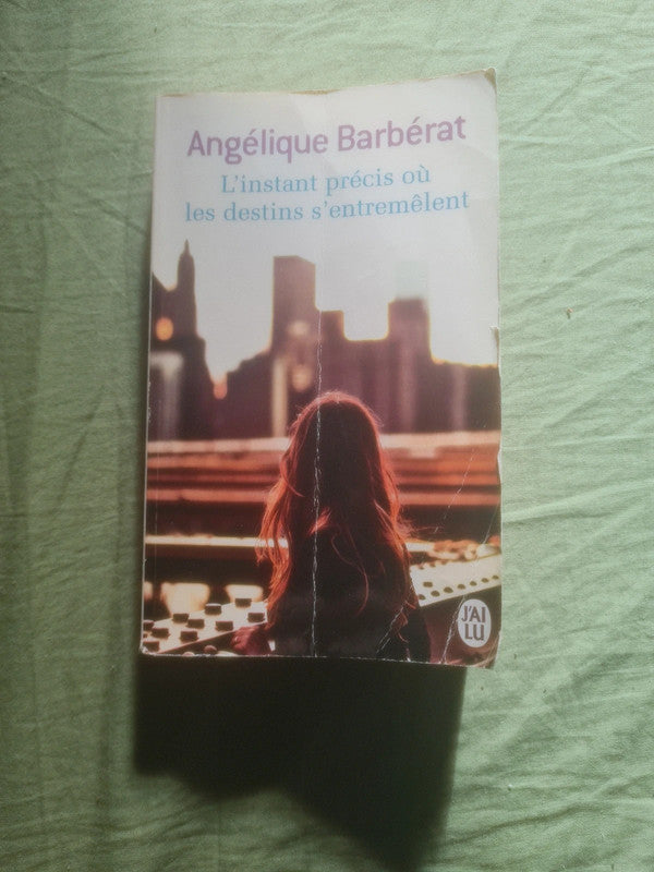 L'instant précis où les destins s'entremêlent,  Angélique Barbérat