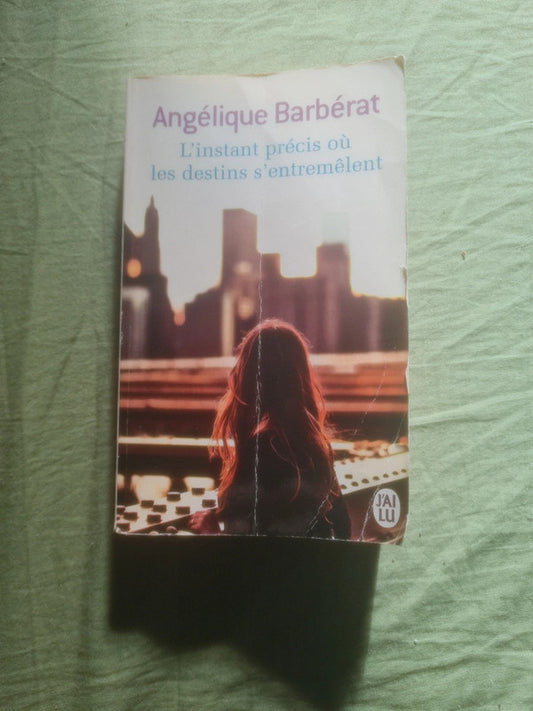 L'instant précis où les destins s'entremêlent,  Angélique Barbérat