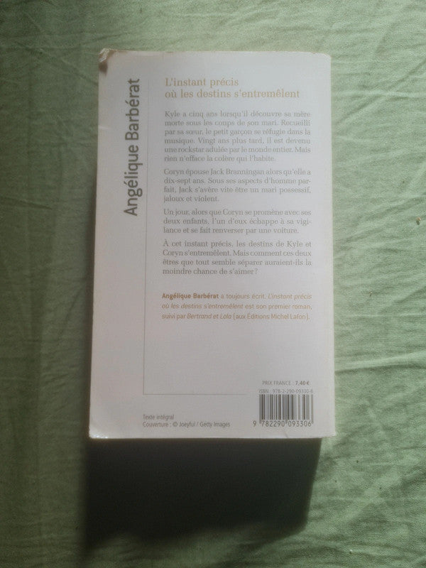 L'instant précis où les destins s'entremêlent,  Angélique Barbérat