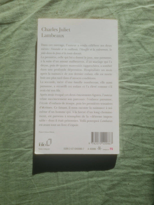 Lambeaux , Charles Juliet