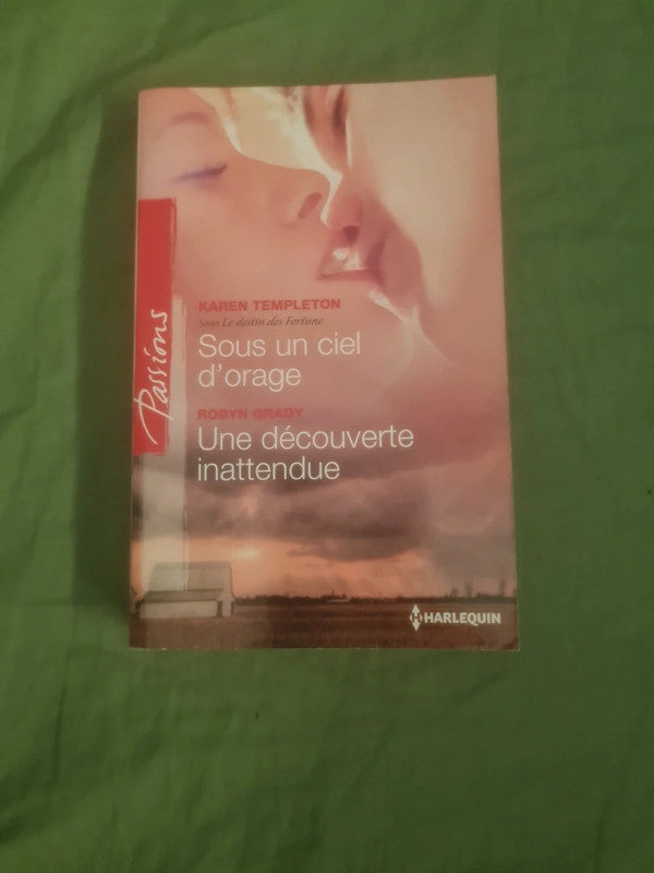 Sous un ciel d'orage , Karen Templeton,  Une découverte inattendue , Robyn Grady