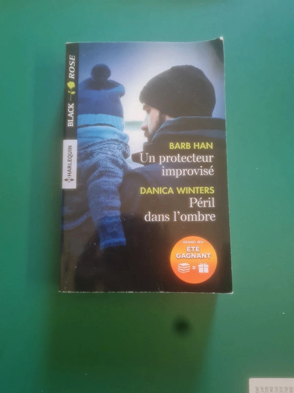 Un protecteur improvisé , Barb Han ,  Péril dans l'ombre , Danica Winters