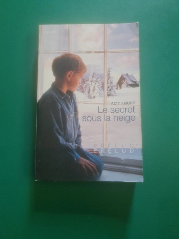 Le secret sous la neige , Amy Knupp