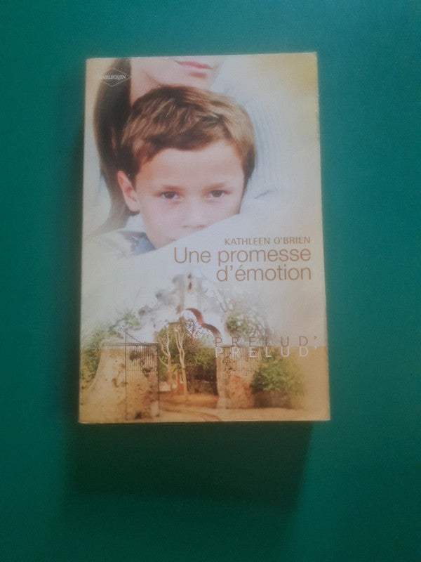 Une promesse d'émotion , Kathleen O'brien