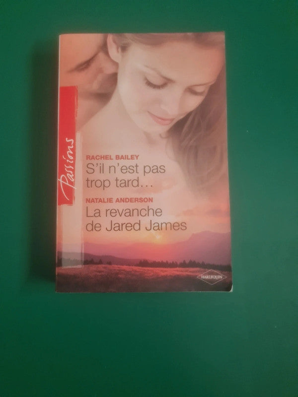 S'il n'est pas trop tard , Rachel Bailey , La revanche de Jared James , Nathalie Anderson
