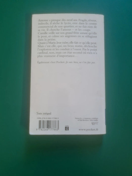 A l'ouest,  Olivier Adam