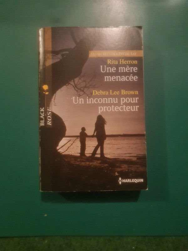 Rita Herron : Une mère menacée , Debra Lee Brown
Un inconnu pour protecteur