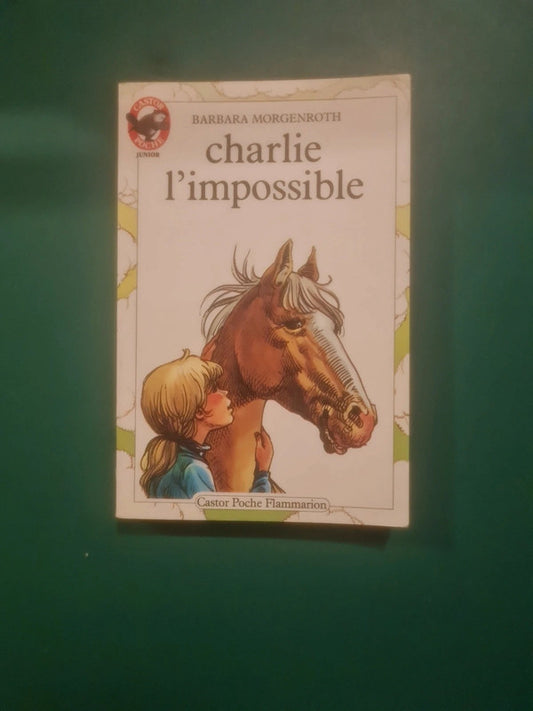 charlie l'impossible : Barbara Morgenroth