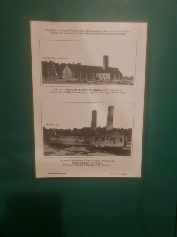 Une française juive est revenue, Suzanne Birnbaum