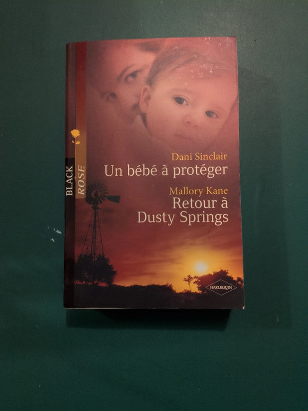 Dani Sinclair
Un bébé à protéger , Mallory Kane
: Retour à Dusty Springs
