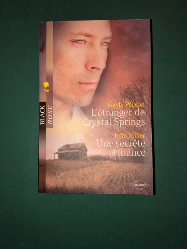 Gayle Wilson
: L'étranger de Crystal Springs , Julie Miller
: Une secrète attirance