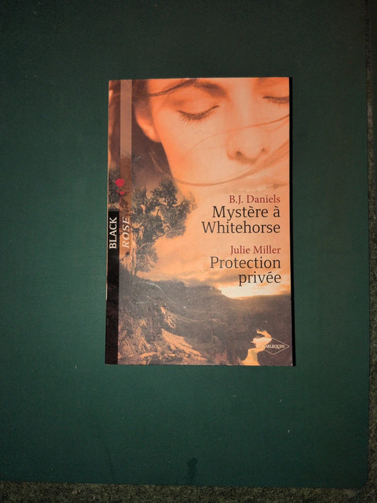B.J. Daniels
, Mystère à Whitehorse , Julie Miller
, Protection privée
