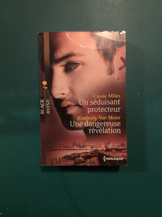 Cassie Miles ,
Un séduisant protecteur , Kimberly Van Meter ,
Une dangereuse révélation