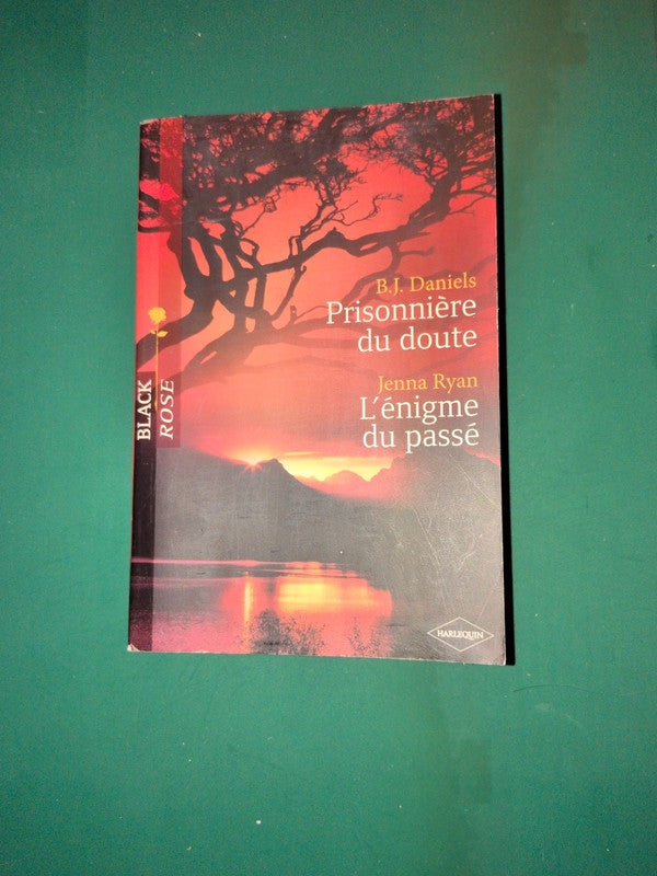 B.J. Daniels
, Prisonnière du doute , Jenna Ryan
L'énigme du passé