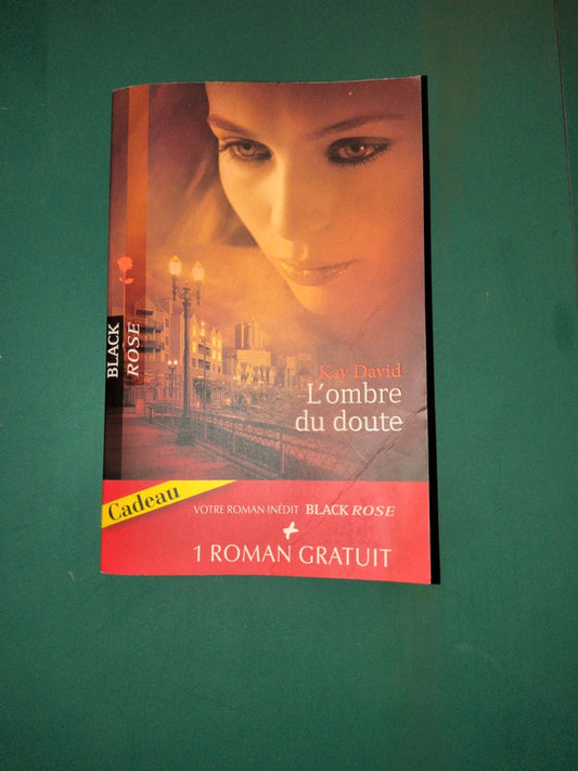 Kay David , L'ombre du doute , La machination de Harper Allen