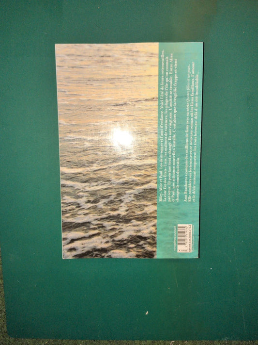 Toi et moi à jamais, Ann Brashares