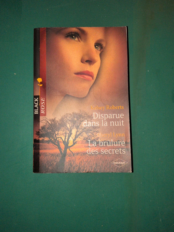Kelsey Roberts
, Disparue dans la nuit , Sheryl Lynn
, La brûlure des secrets
