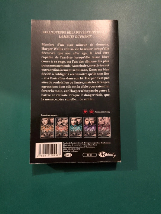 Noirs demons Tome 1 tout ce qui brûle, Suzanne Wright