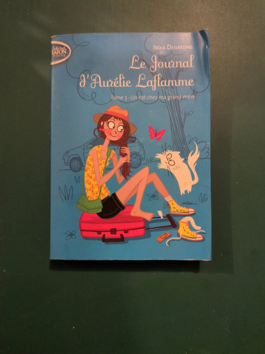Le Journal d'Aurélie Laflamme tome 3 un été chez ma grand mère