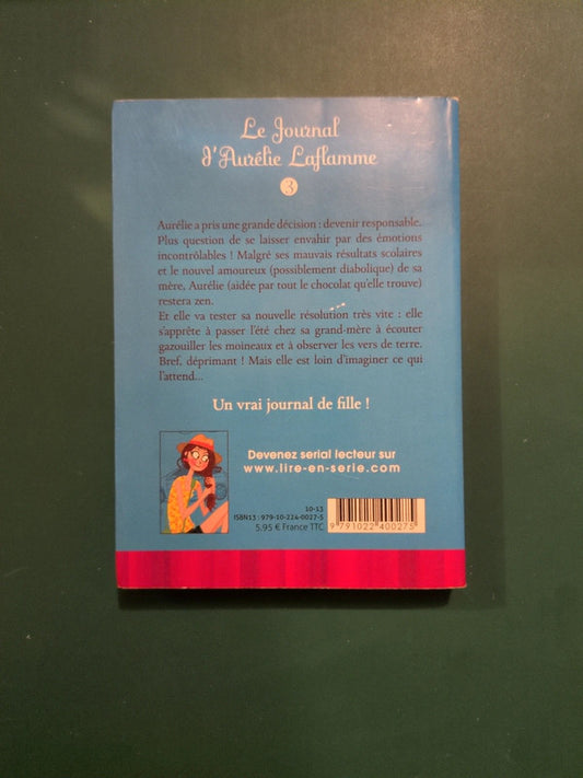 Le Journal d'Aurélie Laflamme tome 3 un été chez ma grand mère