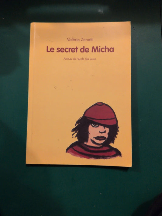 Le secret de Micha , Valérie Zenatti