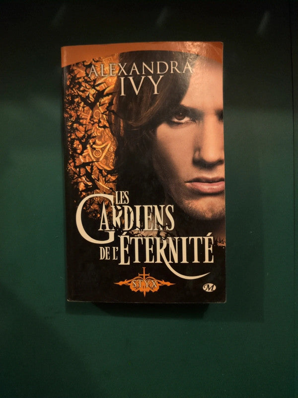 les gardiens de l'eternité , Alexandra Ivy