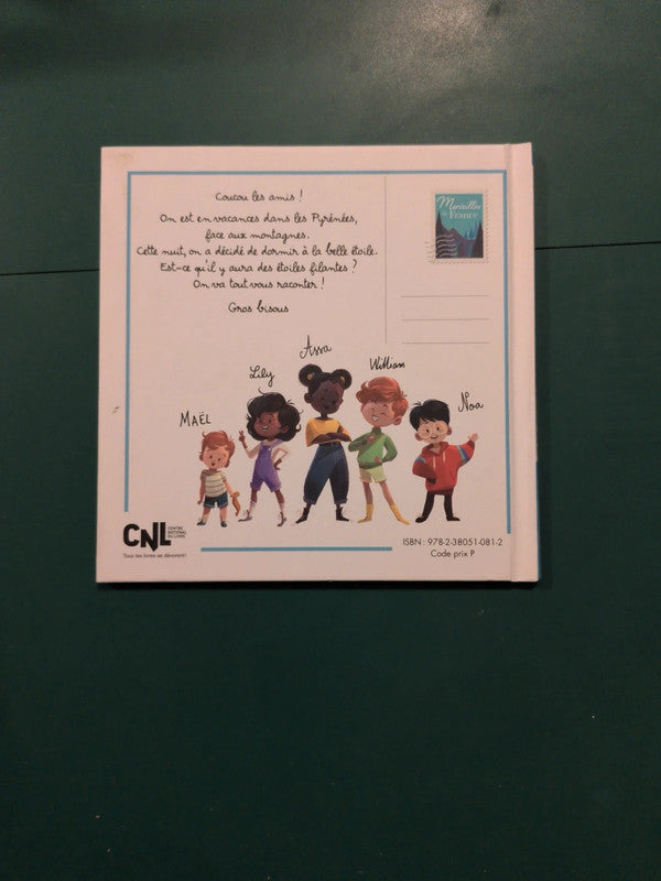 Le pic du midi d'Ossau, Virginie Grimaldi, Marina Coudray