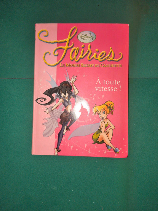 Fairies le monde secret de clochette