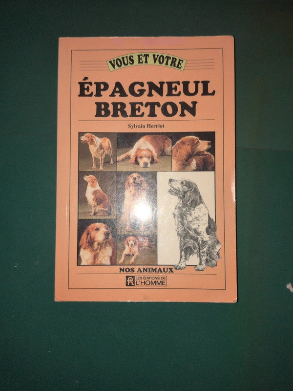 vous et votre épagneul breton